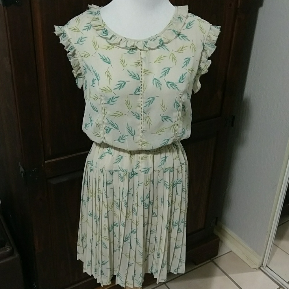 Gorgeous, drop waist, pleated, vintage style dress